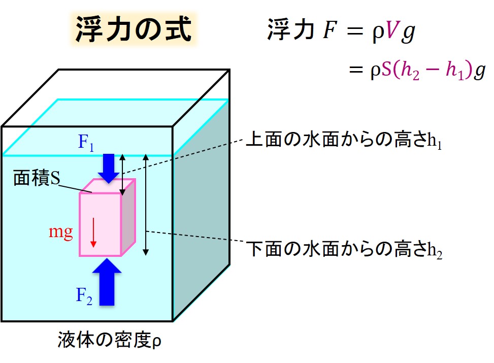 高校物理 浮力と水圧の違い どれが浮いてどれが沈む デルタ先生の物理と数学の部屋